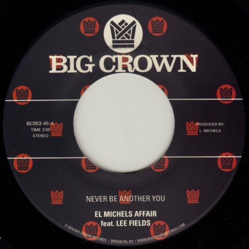 el michels affair lee fields never be another you regge remix big crown
