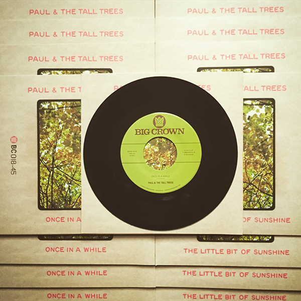 Paul And The Tall Trees Once In A While The Little Bit Of Sunshine Big Crown Records