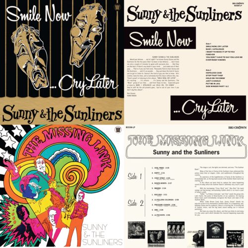 sunny and the sunliners black friday record store day missing link smile now cry later
